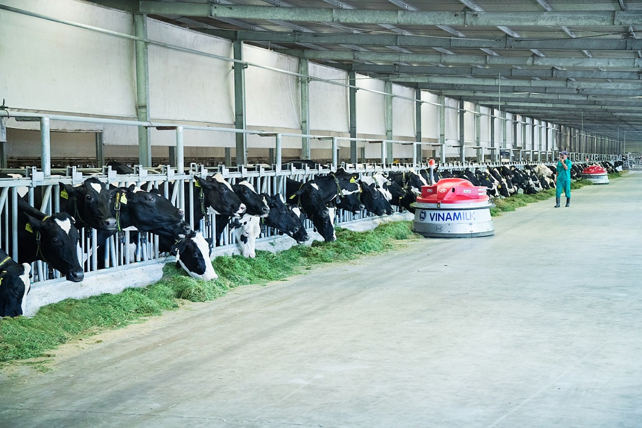 Vinamilk ra mắt hệ thống trang trại sinh thái Vinamilk Green Farm
